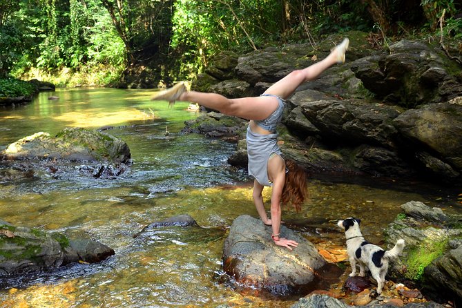 Trinidad Rainforest Hike to Waterfall - Customer Experiences