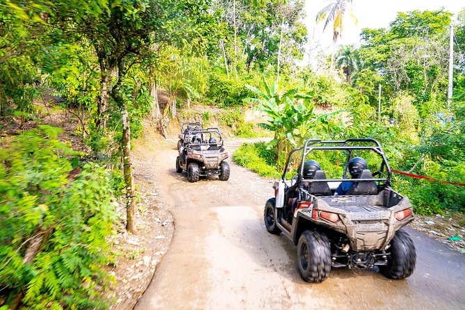 Triple Fun! Monkeyland + Damajagua Waterfalls + Buggies From Puerto Plata - Highlights of the Experience