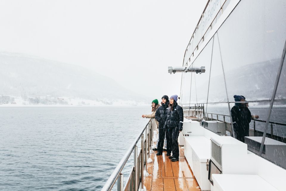 Tromsø: Arctic Fjord Cruise by Hybrid-Electric Catamaran - Itinerary Highlights