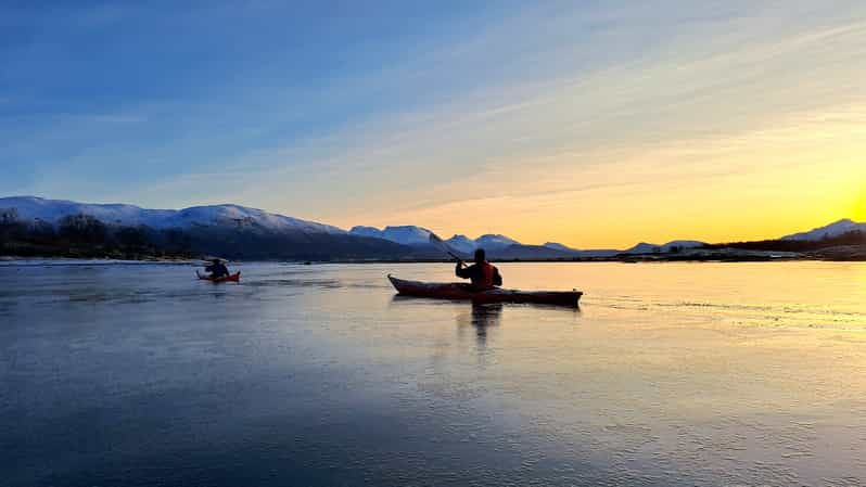 Tromsø: Easy Winter Kayaking Tour With Seal Watching - Experience Highlights