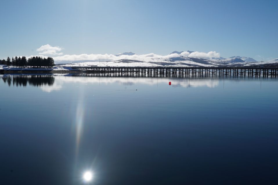 Tromsø: Fjord Cruise by Luxury Yacht - Scenic Highlights of Tromsø