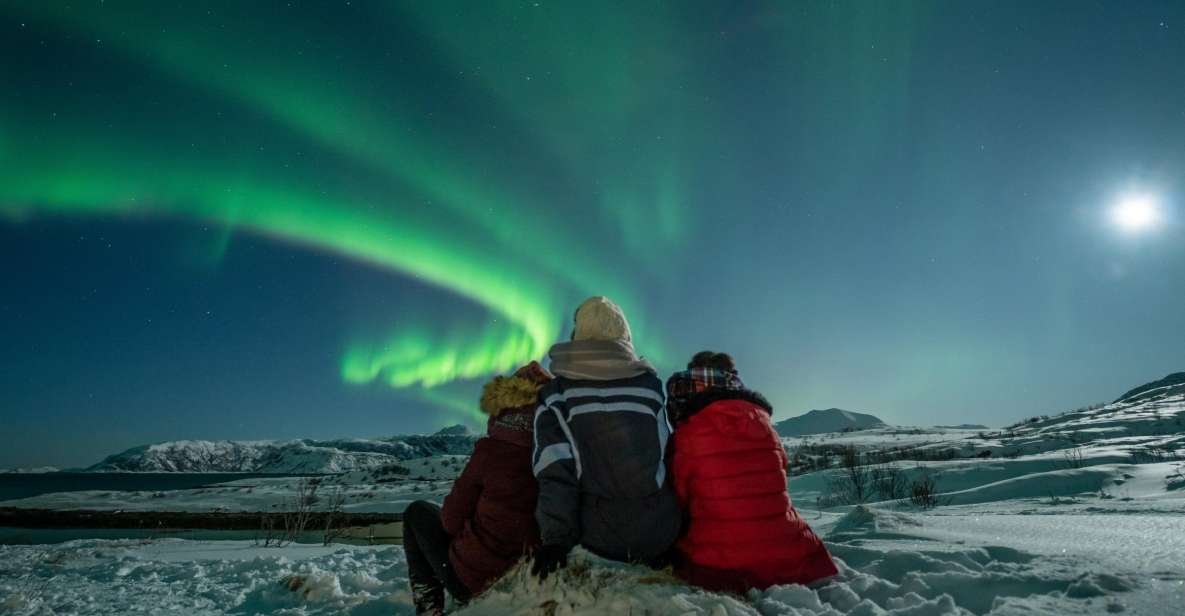 Tromsø: Northern Lights Guided Bus Tour - Experience Highlights