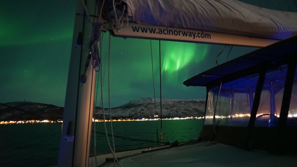 Tromsø: Northern Lights Luxury Catamaran Cruise - Highlights of the Experience