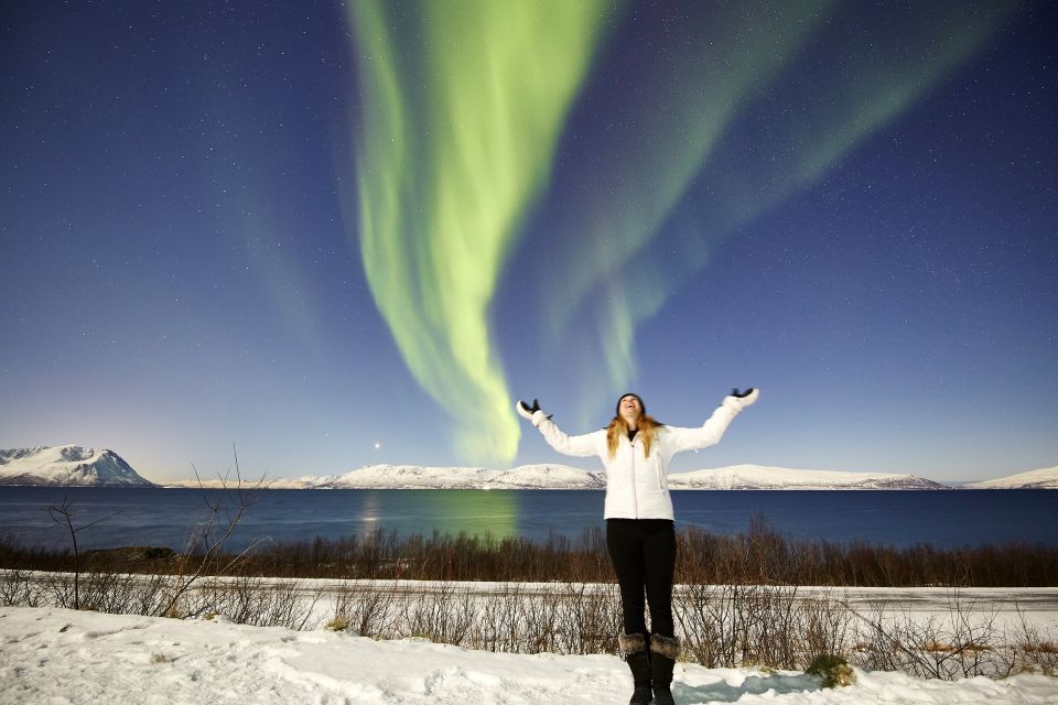 Tromsø: Private 6-Hour Aurora Chase by Minivan - Experience Highlights