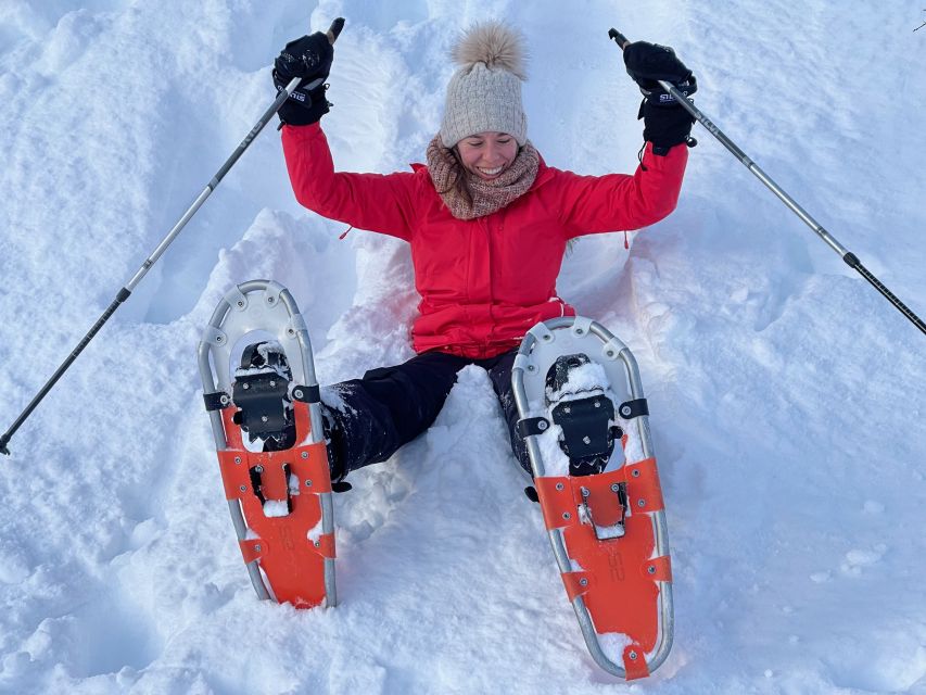 Tromso: Scenic & Eco-Friendly Snowshoeing Tour - Experience Highlights