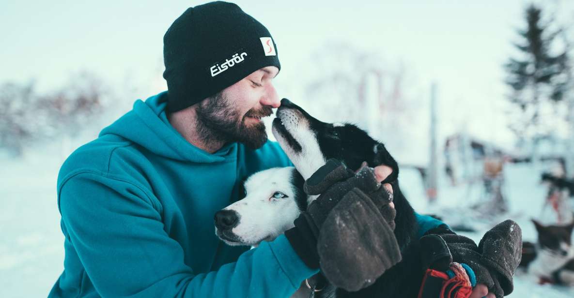 Tromsø: Self-Drive Husky Dog Sledding Adventure - Highlights of the Experience