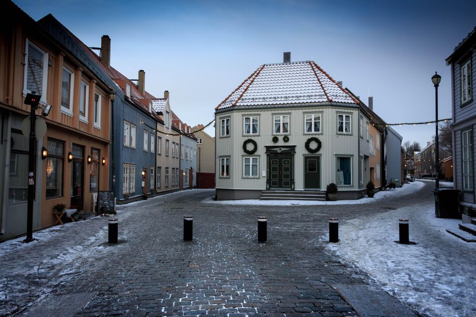 Trondheim: a 2-Hours City Stroll - Itinerary Highlights