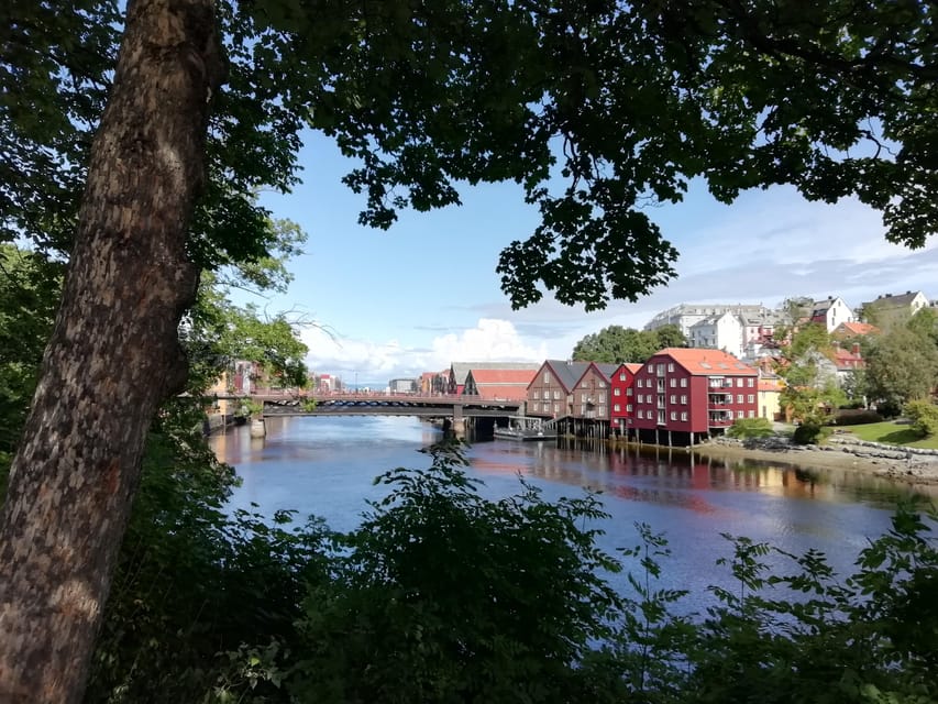 Trondheim : Explore the City of Kings With a Local Guide - Tour Highlights and Experience