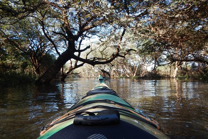 TRU KAYAK - Cruise Along the Majestic Uruguay River - Safety and Equipment Provided