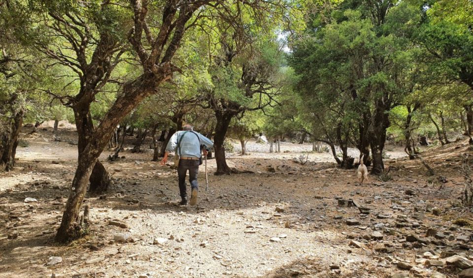 Truffle Hunting, Culinary & Wine Celebration From Elounda - Highlights of Truffle Hunting