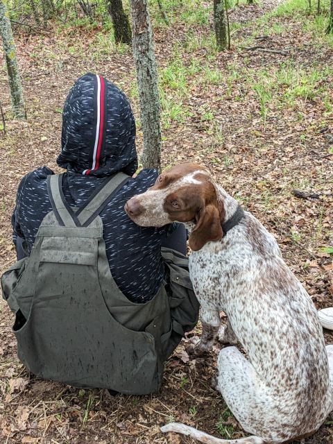 Truffle Hunting Experience With a Guide - Booking Information