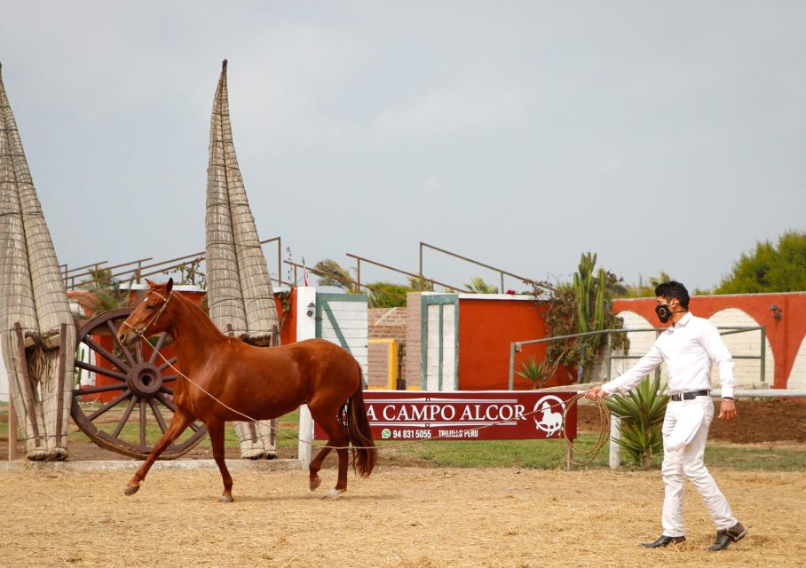 Trujillo: Chan Chan + Walking Horses + Huanchaco |Entrance| - Pricing and Reservation