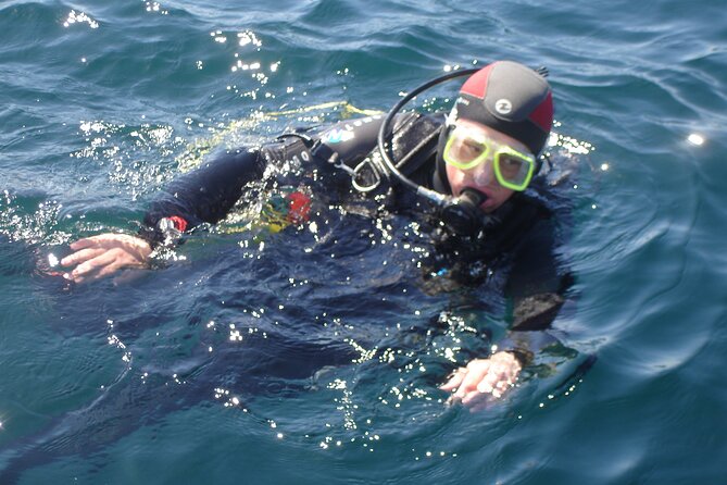 Try Dives - Discover Scuba Diving in Albufeira - Theoretical Introduction and Practical Tuition