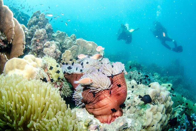 Try Scuba Diving 2 Dives Bang Bao - Whats Included in the Package