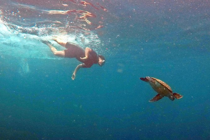 Turtle Snorkeling by Adrenailha - Location and Meeting Point