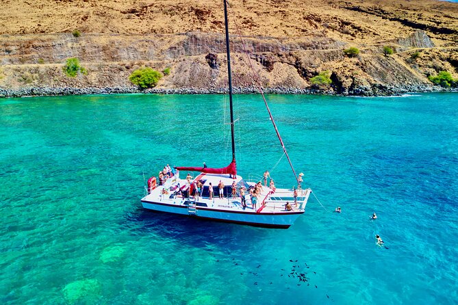 Turtle Town 3-Hour Snorkel and Sail Adventure From Maalaea Harbor - Meeting Point Details