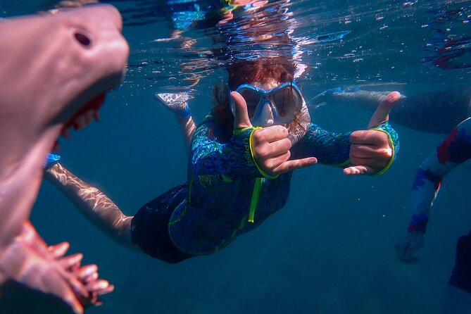 Turtle Town Clear Kayak & Snorkel Tour (7am-10am) - Meeting Details