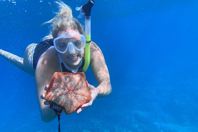 Turtle Town Snorkel With Photo and Video - Safety Precautions and Equipment