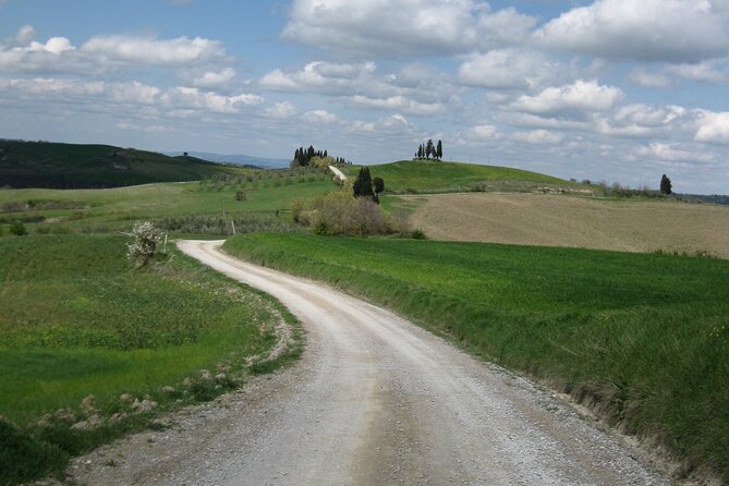 Tuscany Hiking Tour From Siena Including Wine Tasting - Highlights of the Hike