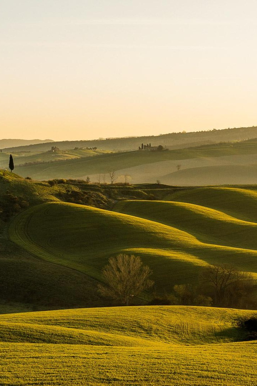 Tuscany in a Day: Pisa, San Gimignano and Siena Private Tour - Itinerary Breakdown