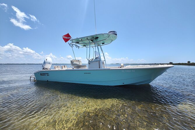 Two Hour Private Sightseeing/Dolphin Tour in Panama City Beach - Highlights of the Experience