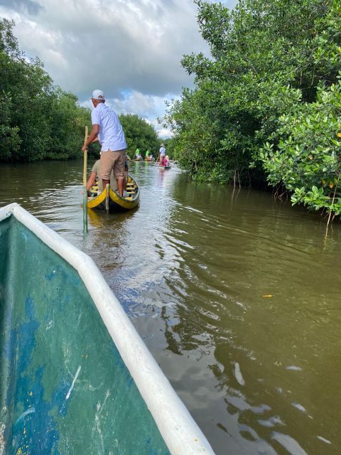 Typical Lunch on Beach, Mangrove Tour & Fishing With Natives - Traditional Lunch Highlights