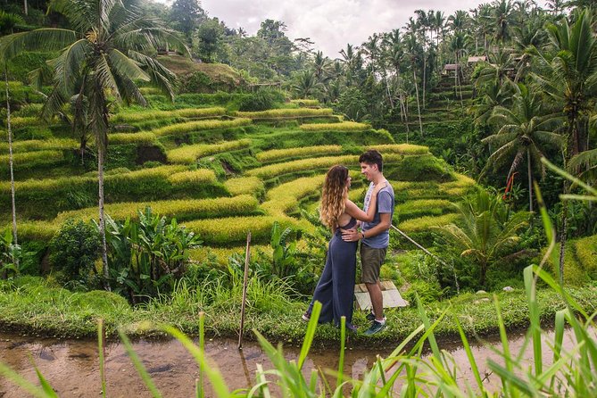 Ubud City Tour II: Monkey Forest, Palace, Art Market, and Rice Terrace - Inclusions and Exclusions