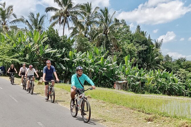 Ubud Cultural and Natural Downhill Cycling Tour - Inclusions and Amenities