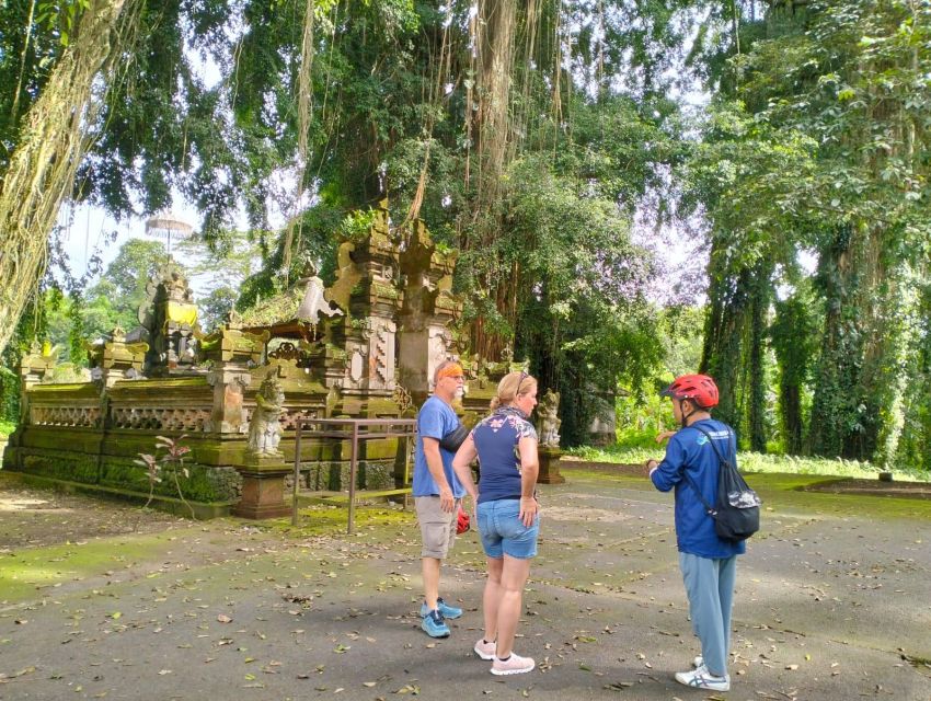 Ubud E Bike Tour : Countryside+Rice Terrace+Luwak Coffee - Itinerary Highlights