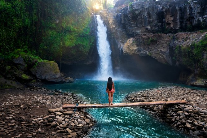 Ubud Highlight Private: Tegalalang & Holy Water Temple - Key Attractions
