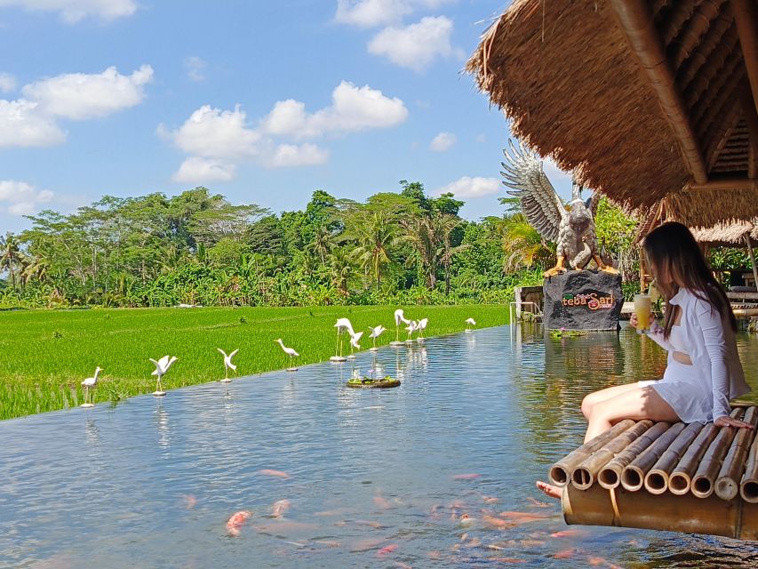 Ubud: Private Charter Car 10hours. - Discover Ubuds Natural Wonders