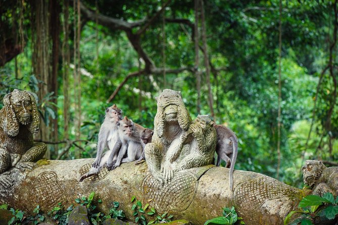 Ubud: Waterfall, Rice Terraces, and Monkey Forest Private Tour - Tegalalang Rice Terraces