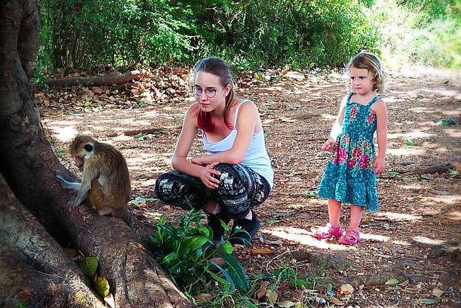 Udawalawe National Park | 3 Hours Safari Tour (Jeep Only) - Pickup and Meeting Points
