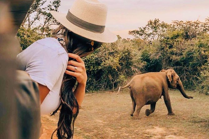 Udawalawe National Park Safari With Private Driver-Jeep and Enter Ticket - Inclusions of the Safari Package