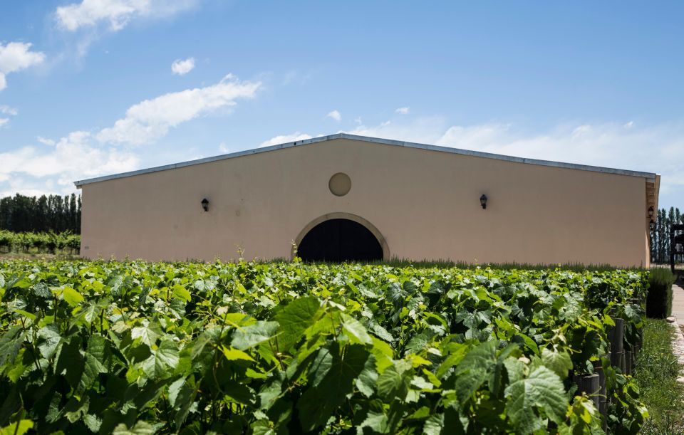 Ultimate Maipú Adventure: Winery Tour & Gourmet Lunch - Detailed Itinerary