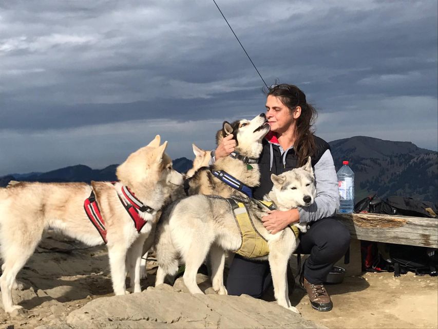 Underallgäu: Wiedergeltingen Guided Hike With Huskies - Experience Highlights