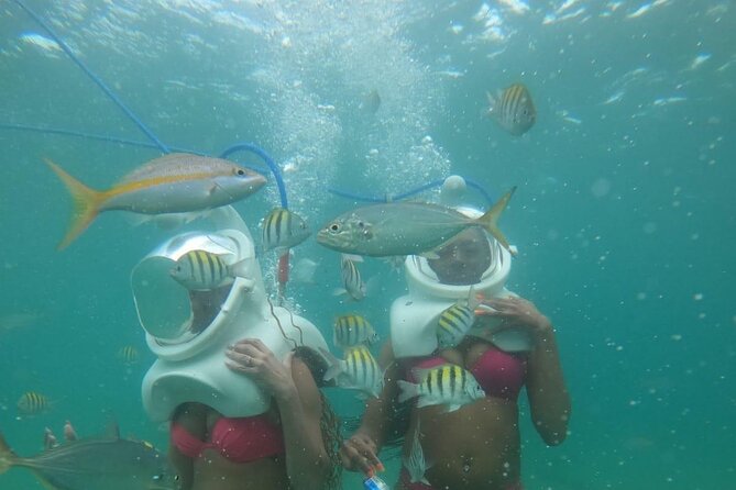 Underwater Sea Trek in San Juan: Explore Beneath the Waves - Safety Briefing and Orientation