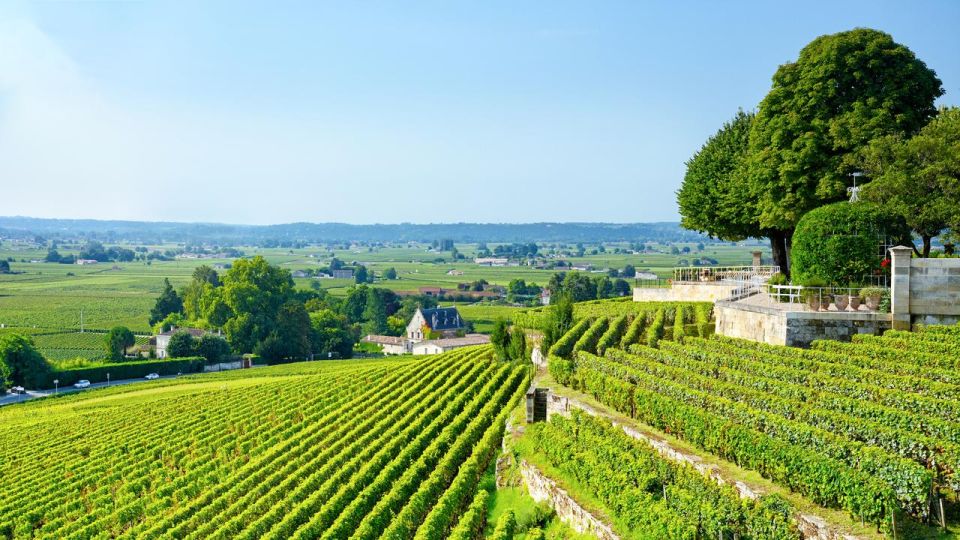 UNESCO Heritage and Wine Delights Private Tour From Bordeaux - Itinerary Highlights