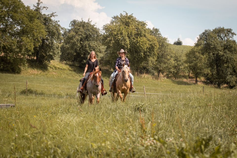 Upper Austria: Landscape, Forests, Meadows - Scenic Forests to Explore