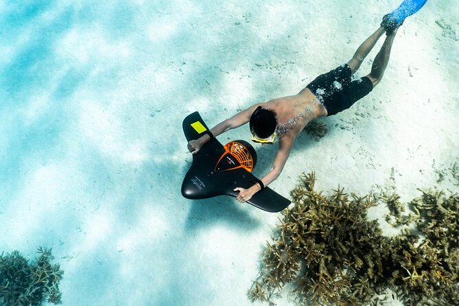 UTV Expedition: Discovering Arubas Hidden Wonders - Recommendations for Travelers