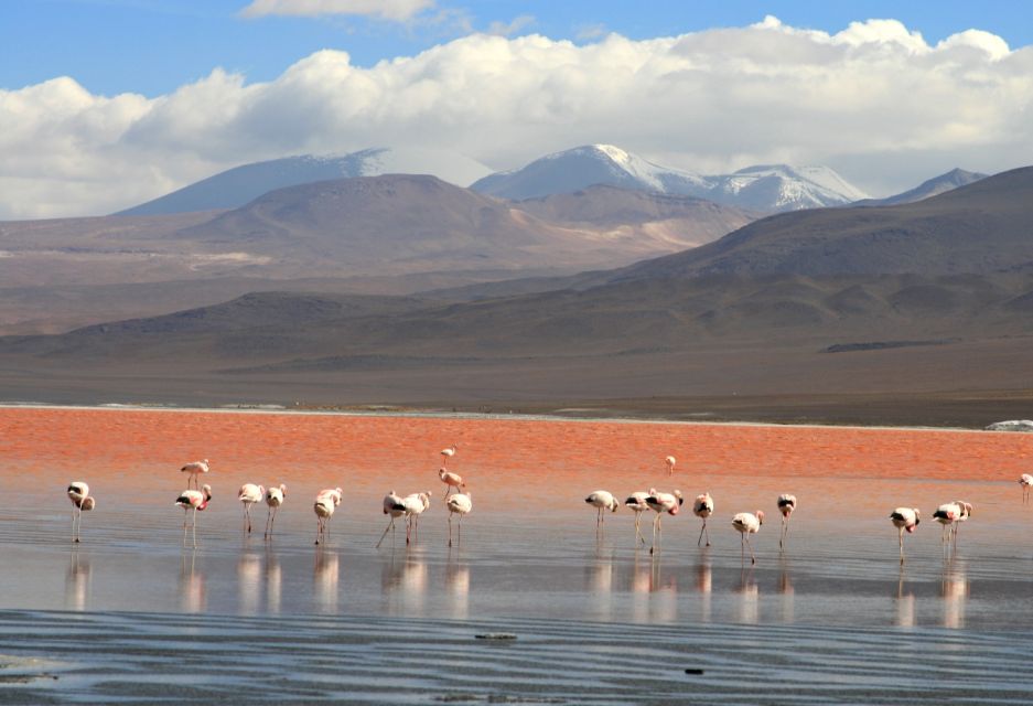 Uyuni: Uyuni Salt Flats and Red Lagoon 3-Day Tour - Day 1 Itinerary Details