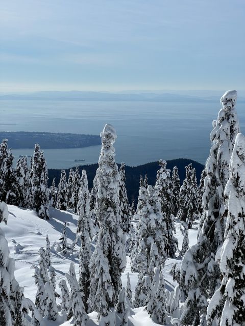 Vancouver: North Shore Mountains Snowshoeing With Transfer - Activity Highlights