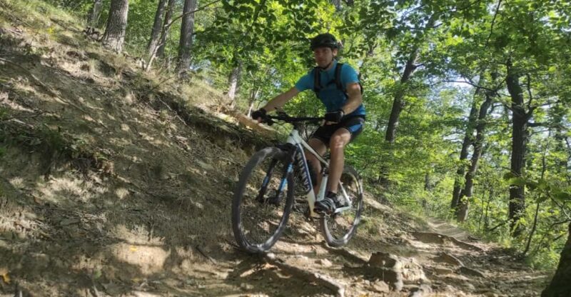 Vienna Mountain Bike Secrets - Detailed Itinerary