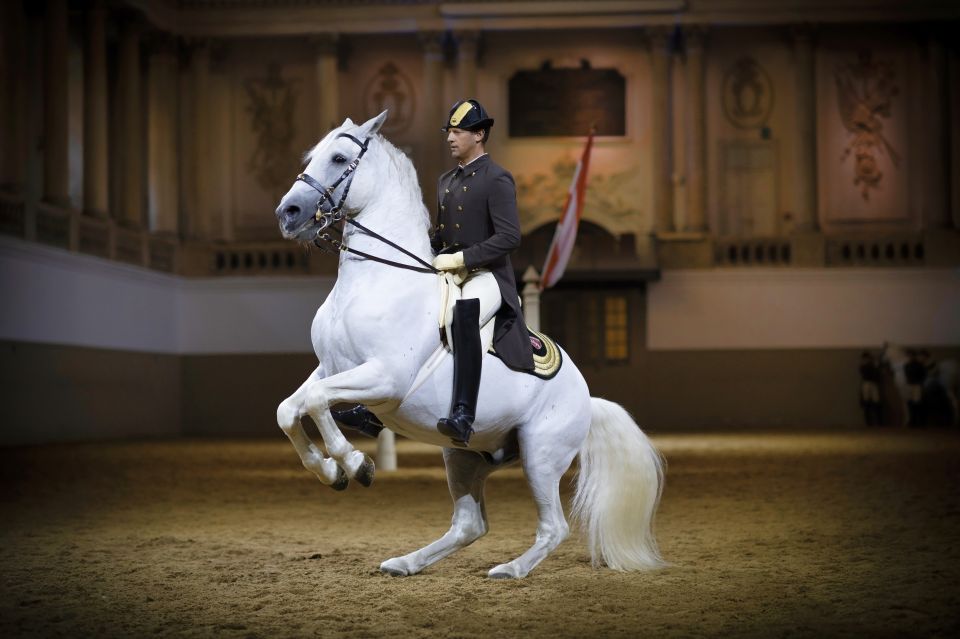 Vienna: Spanish Riding School 45-Minute Performance Show - Booking and Cancellation Policy