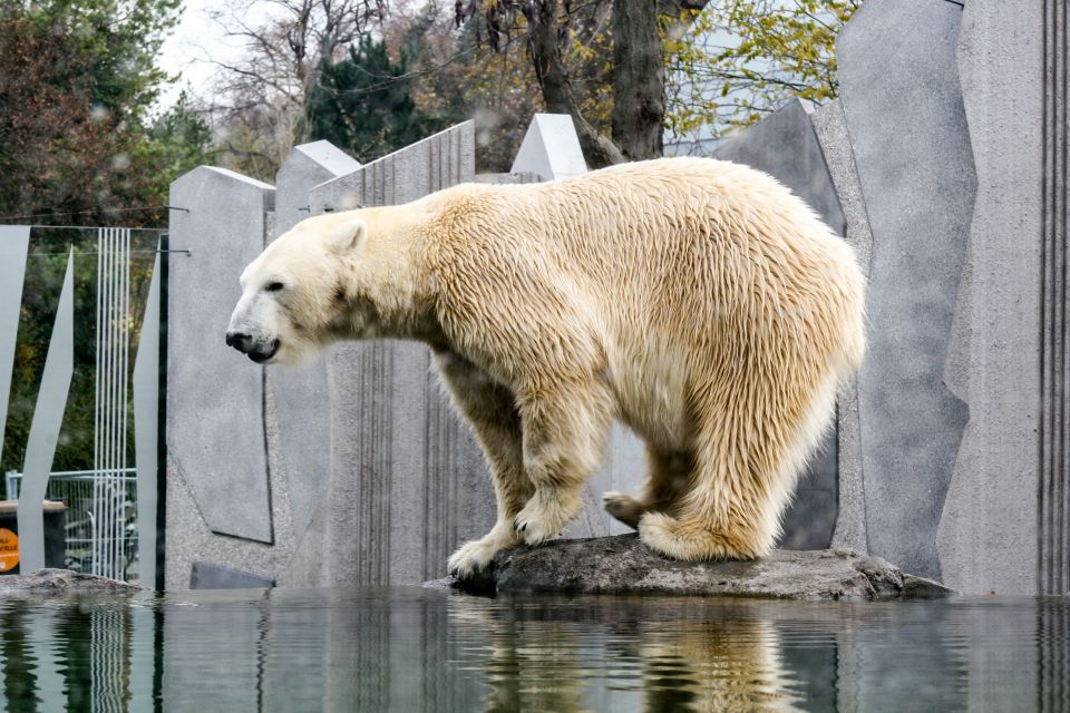 Vienna: Zoo With Private Flexible Transfers and Tickets - Transfer Options