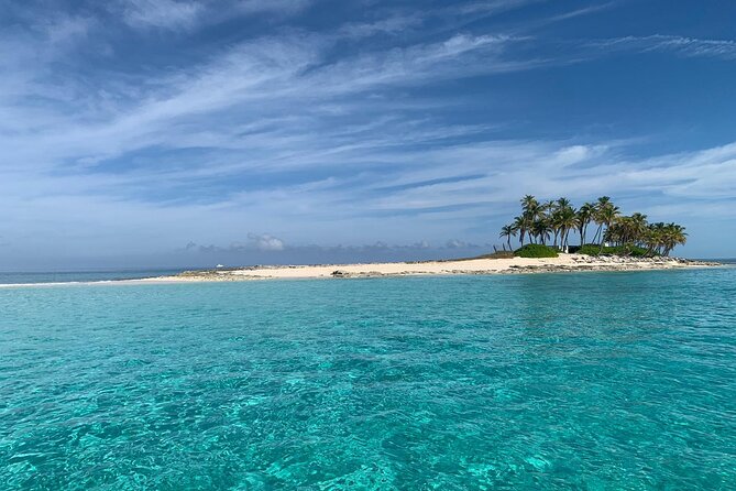 View the Turtles, Rose Island, Gilligans Island and Fishing Tour - Snorkeling and Fishing Equipment