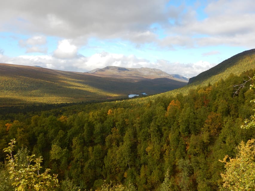 Vindelfjäll Nature Reserve: a Walk Through Reindeer Country - Booking Your Guided Hike