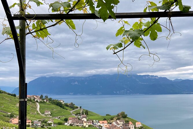 Vine Stories: Lavaux & Lutry Wine Walk - The Wine Walk Experience