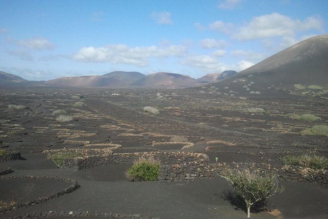 Vineyards of La Geria Hiking Tour - Tour Highlights and Details