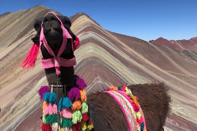 Vinicunca Rainbow Mountain Tour Including Breakfast & Lunch From Cusco - Detailed Itinerary